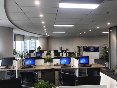 深耕區域，洞察市場 浙江杭鑫經濟信息咨詢的市場調查實踐與價值